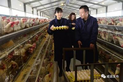 教育帮扶新篇章 国家教育部助力威县农副产品产销两旺