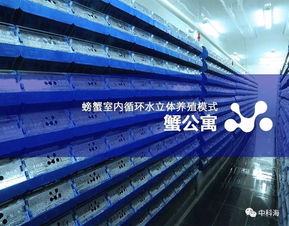 汇聚蓝色经济新动能 第十三届中国国际（厦门）渔业博览会全景解析