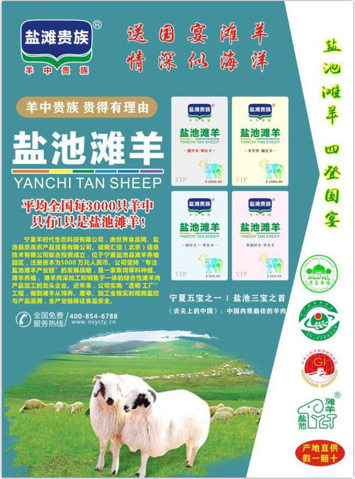 盐池滩羊 市场价格、合理区间与产业链解析
