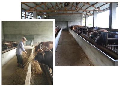 隐龙村建立特色种养殖基地，推动村民致富——养殖与销售并举的创A攻坚实践