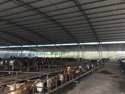 重庆荣豪农业 创新养殖模式与多元销售渠道的融合发展